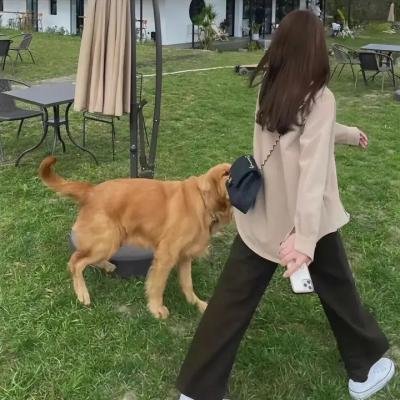 这些女人们