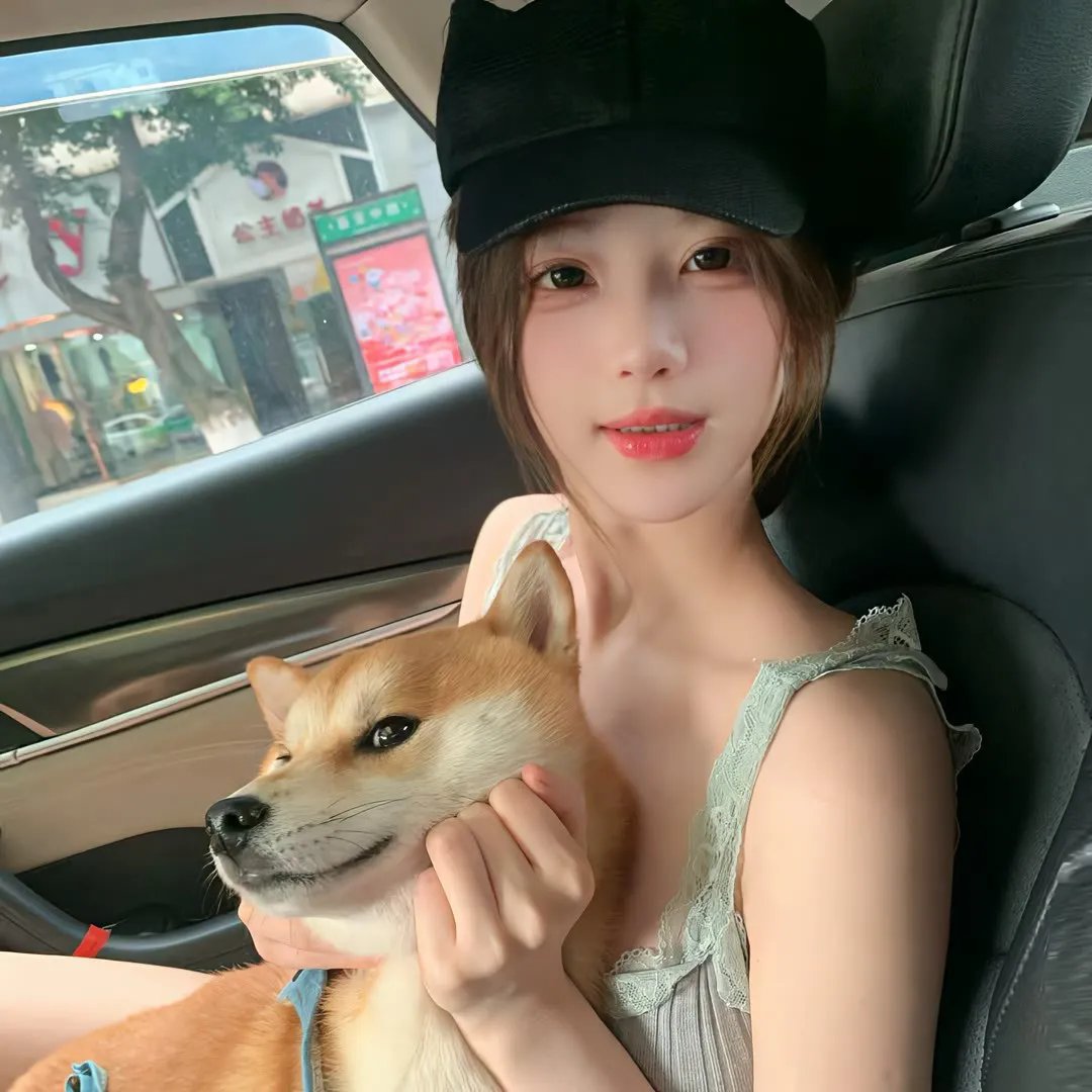 内华达搜熊犬